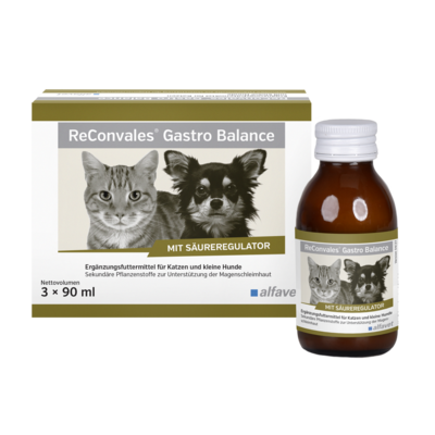 Alfavet ReConvales Gastro Balance Alfavet ReConvales Gastro Balance