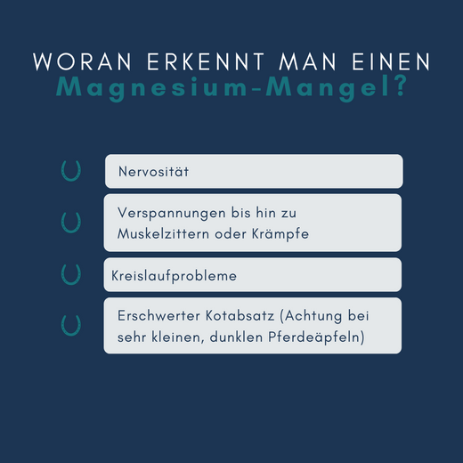 Navalis Orthosal Magnesium Horse für Pferde Navalis Orthosal Magnesium Horse für Pferde
