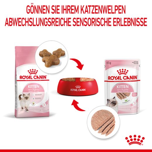 Royal Canin Kitten Frischebeutel Mousse