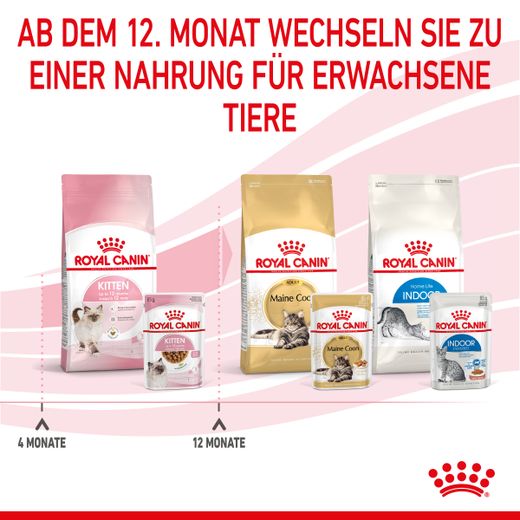 Royal Canin Kitten Frischebeutel in Soße Royal Canin Kitten Frischebeutel in Soße