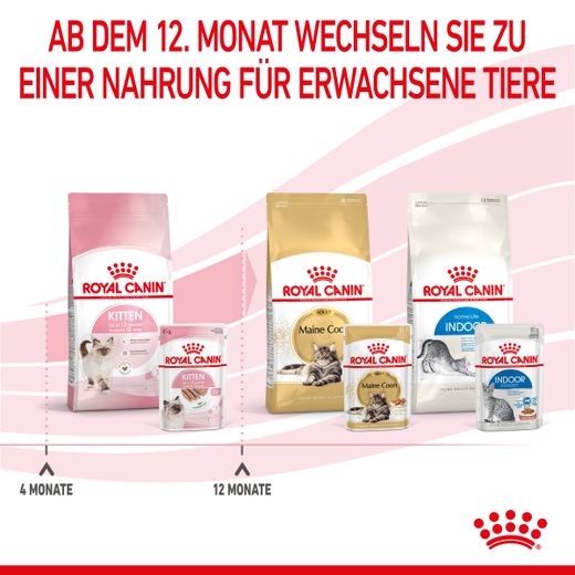 Royal Canin Kitten Frischebeutel Mousse