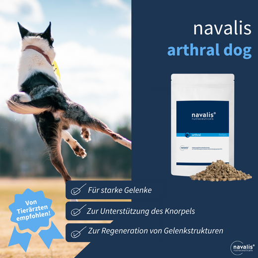 Navalis Arthral Dog für Hunde