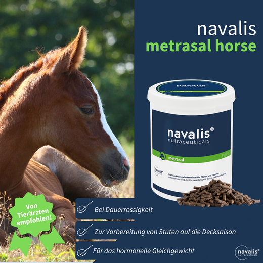 Navalis Metrasal Horse für Pferde
