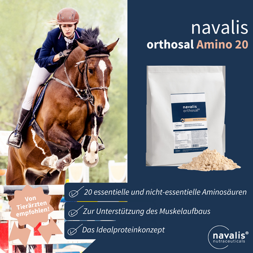 Navalis Orthosal® Amino 20 Horse