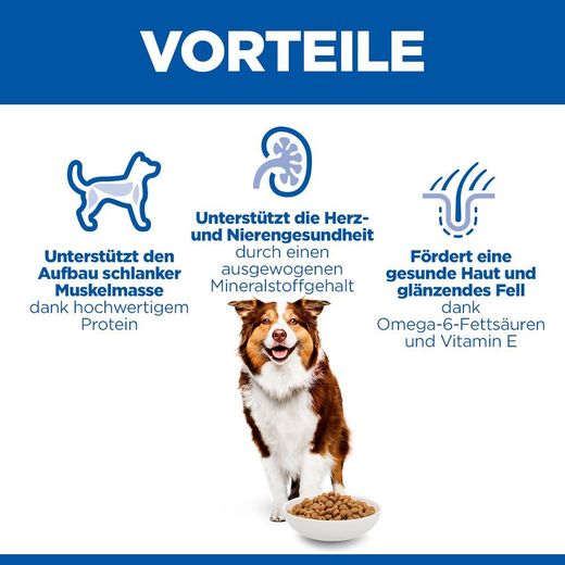 Hills Science Plan Canine Mature Adult 7+ Medium Hund Trockenfutter