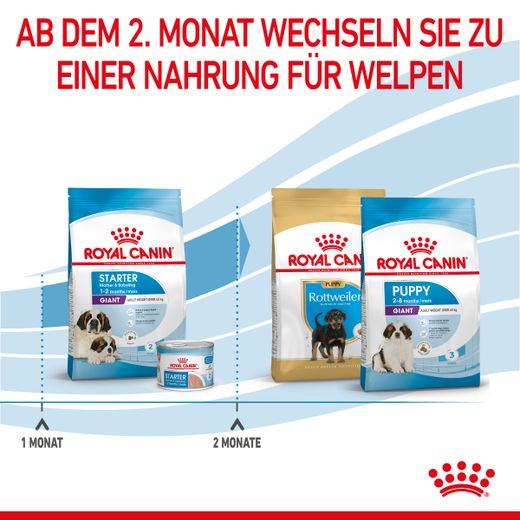 Royal Canin Giant Starter Trockenfutter