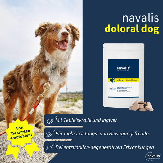 Navalis Doloral Dog and Cat