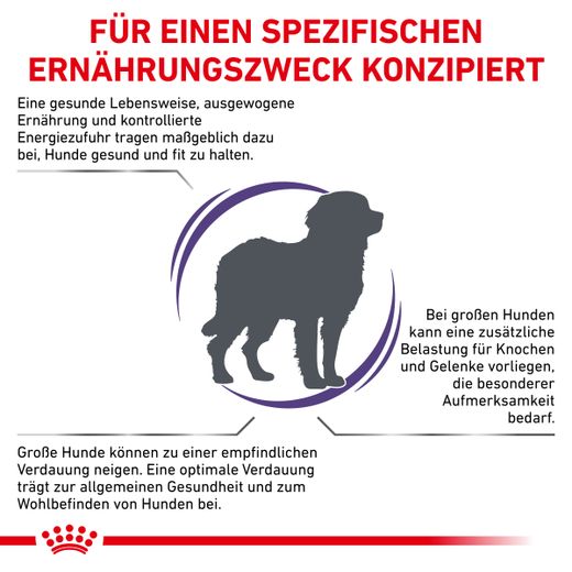 Royal Canin Adult Large Dogs Trockenfutter für Hunde