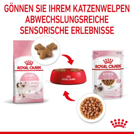 Royal Canin Kitten Frischebeutel in Soße Royal Canin Kitten Frischebeutel in Soße