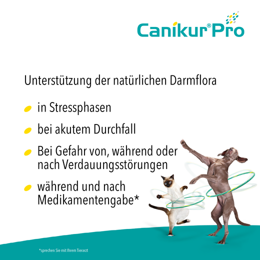 Boehringer Ingelheim Canikur Pro