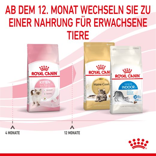 Royal Canin Kitten Trockenfutter