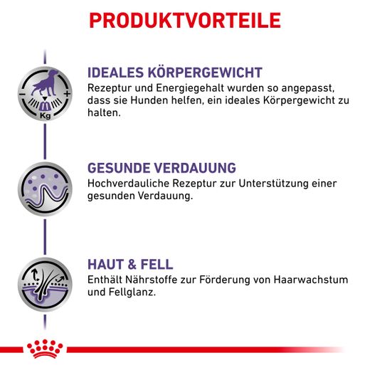 Royal Canin Neutered Adult Feine Stückchen in Soße Frischebeutel für Hunde