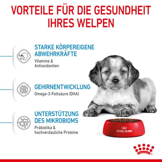 Royal Canin Medium Puppy Trockenfutter für Welpen mittelgroßer Hunderassen Royal Canin Medium Puppy Trockenfutter für Welpen mittelgroßer Hunderassen