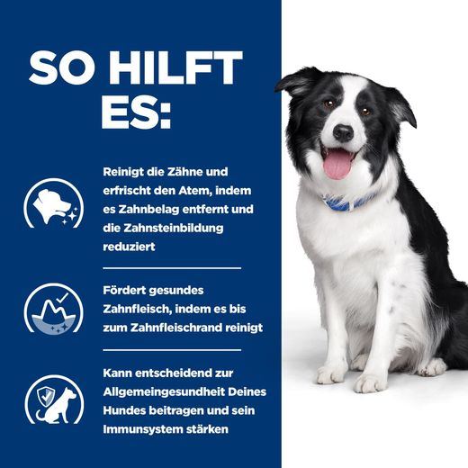 Hills Canine t/d Trockenfutter für Hunde