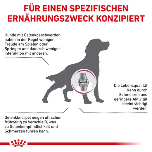 Royal Canin Mobility Support f r Hunde Tierarzt Dr. H lter