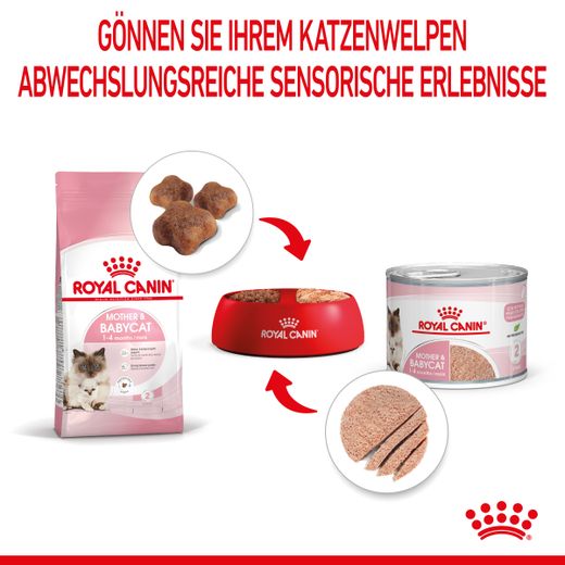 Royal Canin Mother & Babycat Ultra Soft Mousse Dosen für Katzen