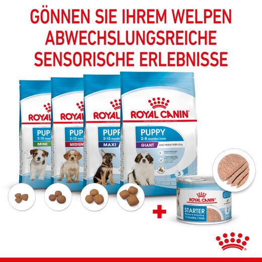 Royal Canin Starter Ultra Soft Mousse für Welpen