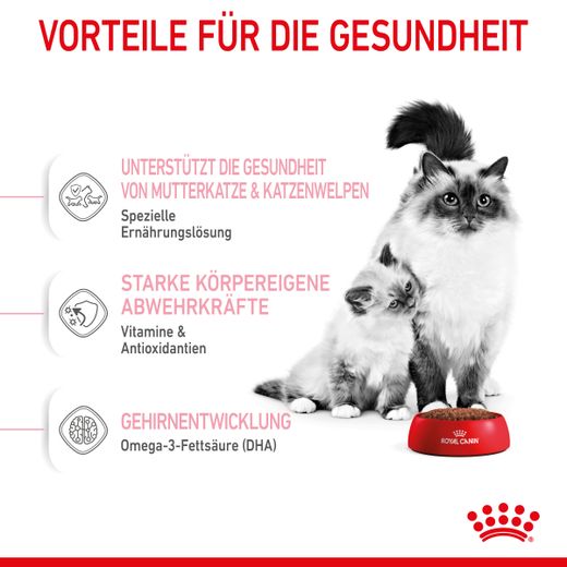 Royal Canin Mother & Babycat Trockenfutter für Katzen Royal Canin Mother & Babycat Trockenfutter für Katzen
