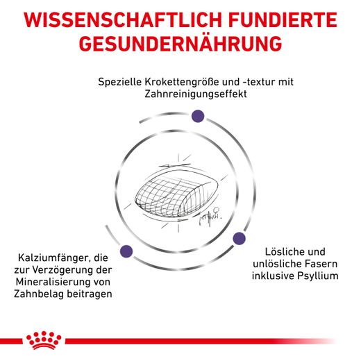 Royal Canin Dental Trockenfutter für Katzen Royal Canin Dental Trockenfutter für Katzen