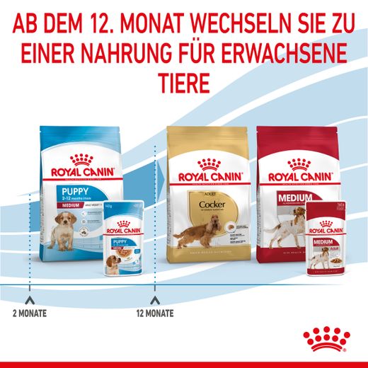 Royal Canin Medium Puppy Frischebeutel in Soße