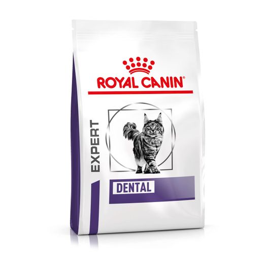 Royal Canin Dental Trockenfutter für Katzen