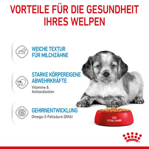 Royal Canin Medium Puppy Frischebeutel in Soße