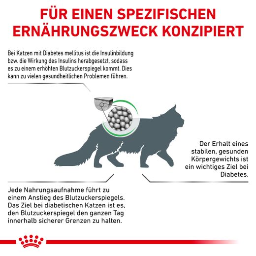Royal Canin Diabetic Trockenfutter für Katzen Royal Canin Diabetic Trockenfutter für Katzen