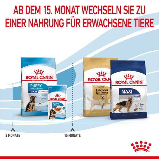 Royal Canin Maxi Puppy Trockenfutter für Welpen großer Rassen Royal Canin Maxi Puppy Trockenfutter für Welpen großer Rassen