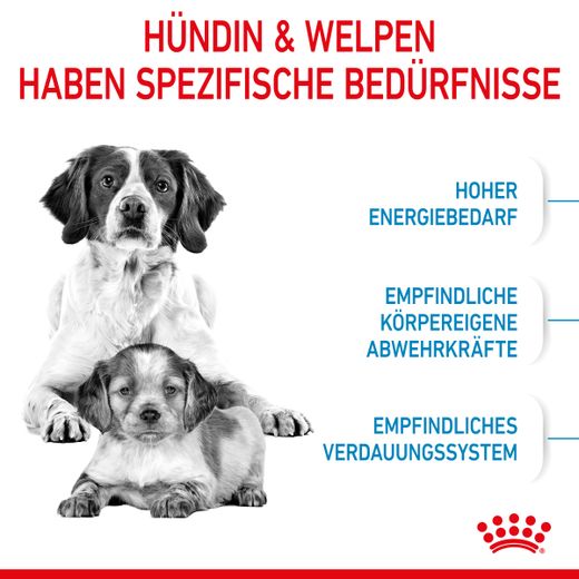 Royal Canin Medium Starter Trockenfutter Royal Canin Medium Starter Trockenfutter