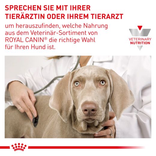 Royal Canin Neutered Adult Feine Stückchen in Soße Frischebeutel für Hunde