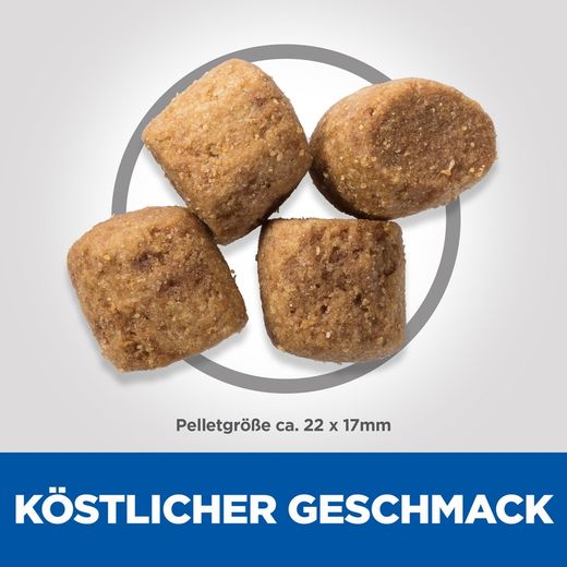 Hills Science Plan Canine Adult Oral Care Huhn Trockenfutter