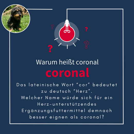 Navalis Coronal Dog Pulver für Hunde und Katzen