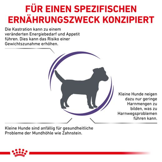 Royal canin adult small dog cheap