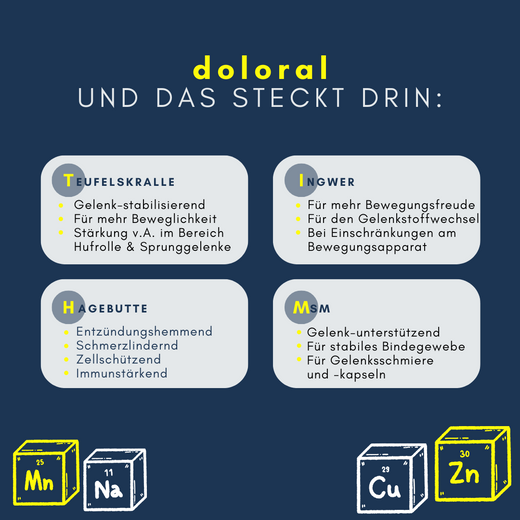 Navalis Doloral Horse fürs Pferd