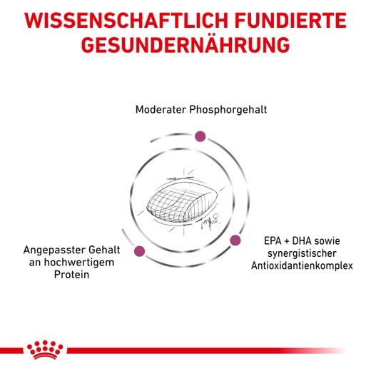 Royal Canin Early Renal Trockenfutter für Hunde Royal Canin Early Renal Trockenfutter für Hunde