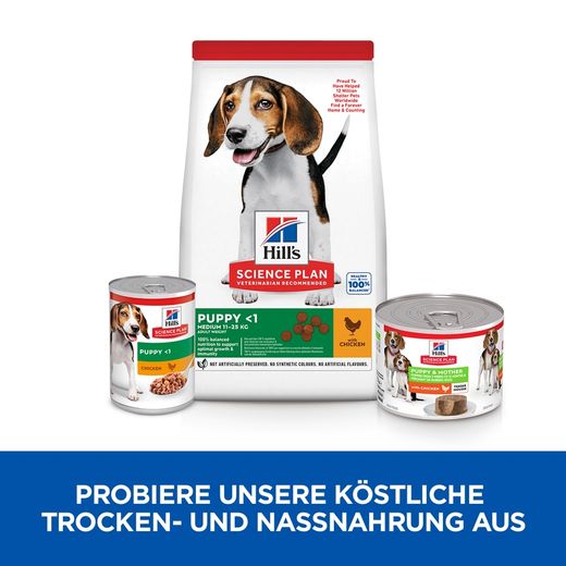 Hills Science Plan Puppy & Mother Tender Mousse mit Huhn Dosen für Hunde