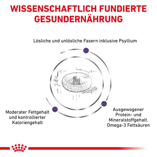 Royal Canin Neutered Adult Large Dogs Trockenfutter für Hunde