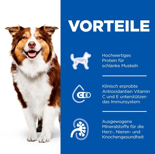 Hills Science Plan Mature Adult Dosenfutter mit Rind