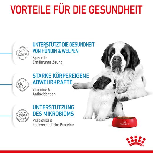 Royal Canin Giant Starter Trockenfutter
