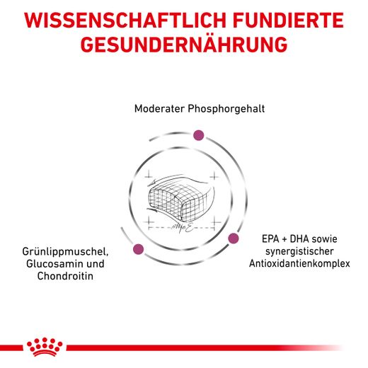 Royal Canin Early Renal Trockenfutter für Katzen