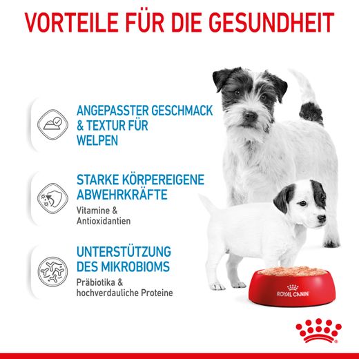 Royal Canin Starter Ultra Soft Mousse für Welpen
