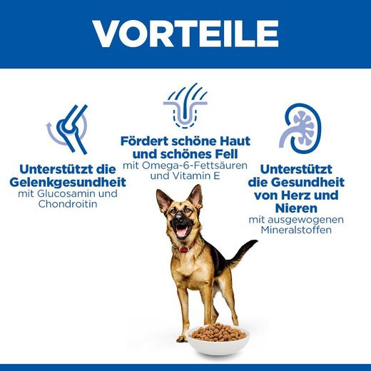 Hills Science Plan Canine Mature Adult 6+ Large Breed Hund Trockenfutter