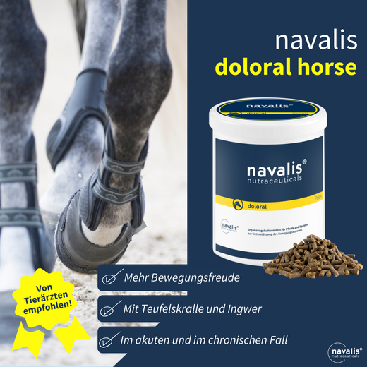 Navalis Doloral Horse fürs Pferd