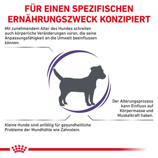 Royal Canin Mature Consult Small Dogs Trockenfutter für Hunde Royal Canin Mature Consult Small Dogs Trockenfutter für Hunde