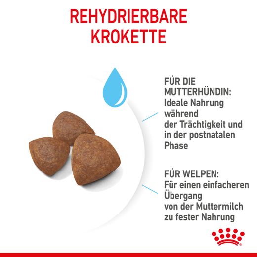 Royal Canin Medium Starter Trockenfutter Royal Canin Medium Starter Trockenfutter