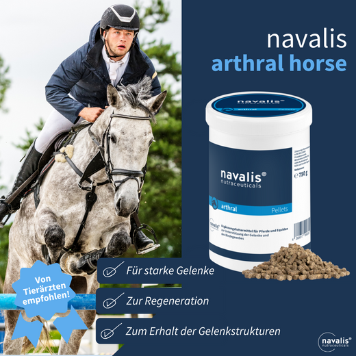 Navalis Arthral Horse für Pferde
