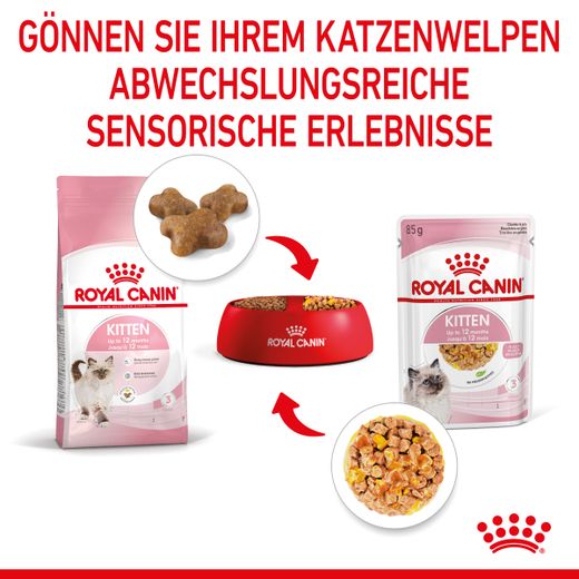 Royal Canin Kitten Frischebeutel mit Gelee Royal Canin Kitten Frischebeutel mit Gelee