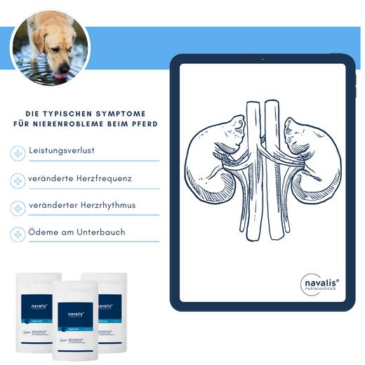 Navalis Nephrosal Dog für Hunde Navalis Nephrosal Dog für Hunde