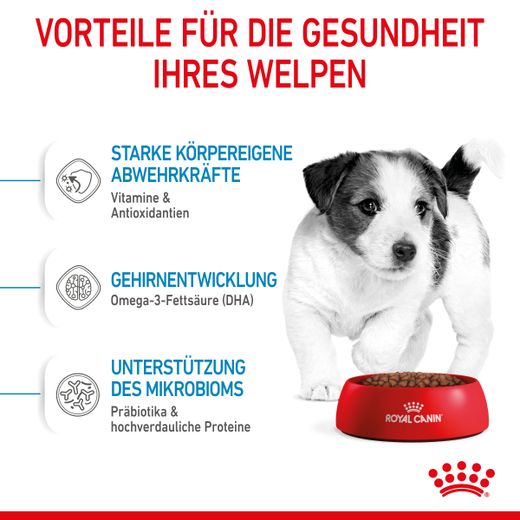 Royal Canin Mini Puppy Trockenfutter für Welpen kleiner Hunderassen