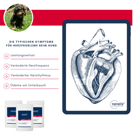 Navalis Coronal Dog Pulver für Hunde und Katzen